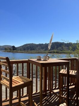Gull, Jenner Inn